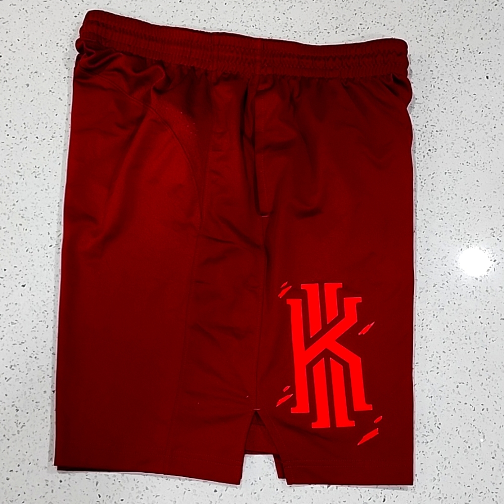 LeBron James Nike Dri-Fit shorts